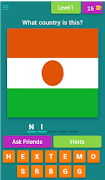 Countries and Flags الملصق