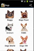 Cães imagem de tela 1