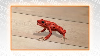 Tiere 3D capture d'écran 3
