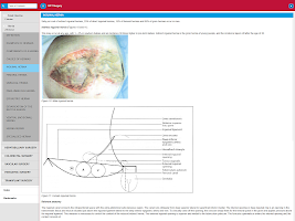 Surgery UCT screenshot 3