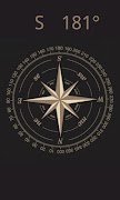 Mini Compass 스크린샷 1