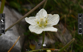 CameraX Free ภาพหน้าจอ 4