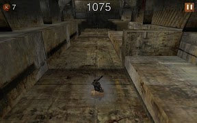 Run Vival screenshot 2