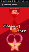 Matching Partner poster