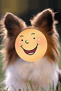 FaceChanger captura de pantalla 1