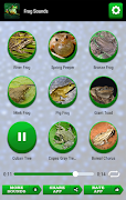 Frog Sounds ภาพหน้าจอ 1
