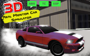 Poster Real Mentor Car Simulator