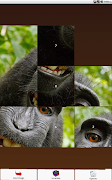 Monkey Puzzle スクリーンショット 5