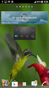 3 Schermata Flying Birds 3D