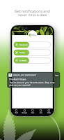Green Leaf screenshot 2