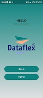 Dataflex screenshot 5