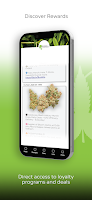 Green Leaf screenshot 3