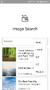 Image Search পোস্টার