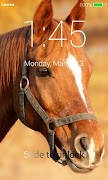 Horses Lock Screen स्क्रीनशॉट 3