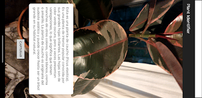 Identificador de Plantas screenshot 3