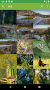 SearchPhotos screenshot 6