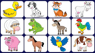 Video Touch - Animals penulis hantaran