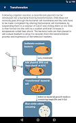 Molecular Methods скриншот 7
