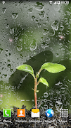 Spring Live Wallpaper HD Screenshot 4