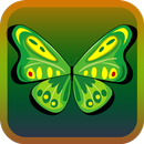 ButterflyLink aplikacja