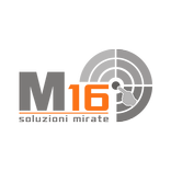 M16