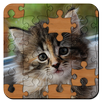 Jigsaw Puzzles APK