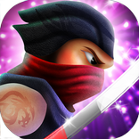 Ferocious Ninja Run