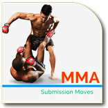 MMA Submission Holds