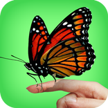 Microscope Simulator HD