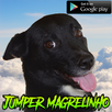 Magrelin APK
