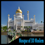 3D moslem'in camesi