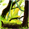 Mossy Forest Live Wallpaper APK