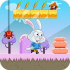 Bunny Run Adventures icon