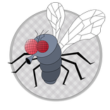 Whac-A-Fly