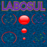 Labosul