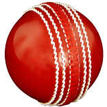 Cricket Coaching Tutorials