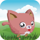 ”Cat Running