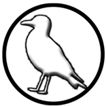 Seagull Simulator