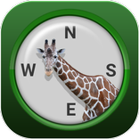 Jungle Compass