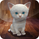 Live Kitten Tom Survival AR 3D