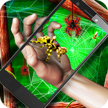 Live Spider on a Hand 3D AR