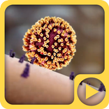”Medical Animation Cell 3D LWP