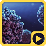Living Cells Free 3D Live WP