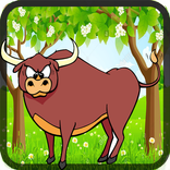 Daffy Bull
