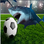 Dolphin Stars Soccer