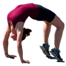 Geri-Kuvvet Egzersizleri APK