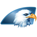 American Eagle VR