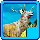 call of the wild : wild hunter