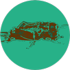 Social Cricket (Unreleased) APK