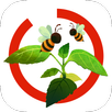 Arloon Plants APK